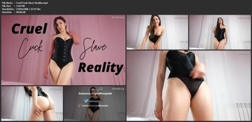 455474944_cruel_cuck_slave_reality-mp4.jpg